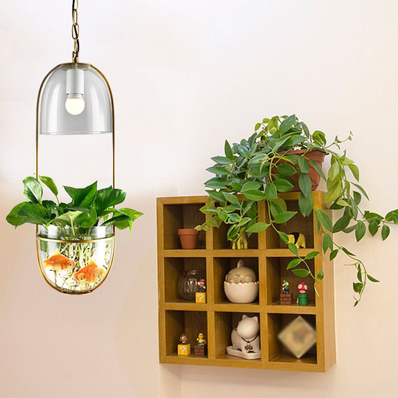 1 Bulb Pendant Light Antique Hemisphere Planter Clear Glass Hanging Light Fixture with Oblong Frame in Gold