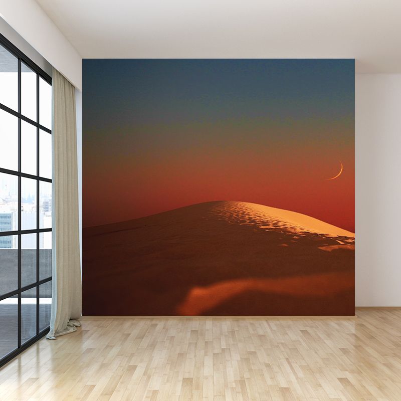 Photography Wall Mural Resistant Contemporary Desert Wall Murals for Home