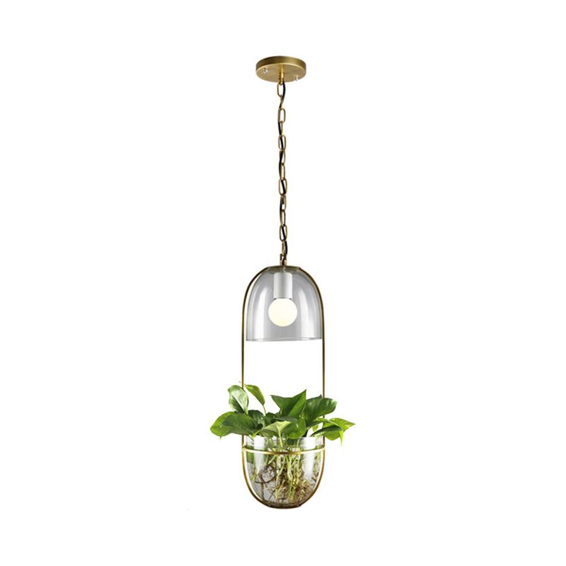 1 lamp hanglamp licht antiek halfrond plantenbak helder glas hangende lamp armatuur met langwerpig frame in goud