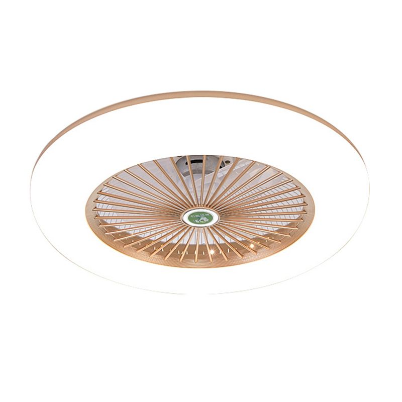 Modern LED Ceiling Fan Light Simple Flush Mount Light for Living Room