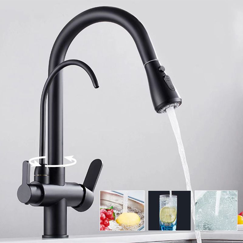 Modern 2-Handle Faucets Copper with Water Dispenser Standard Kitchen Faucets