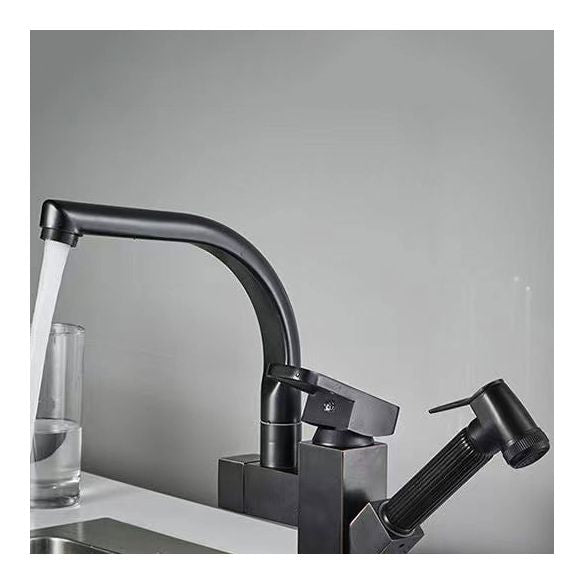 Modern 1-Handle Faucet with Water Dispenser with Pull out Sprayer Faucet