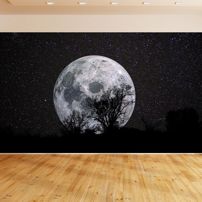 Planet Wall Mural Wallpaper Novelty Style Mildew Resistant for Living Room