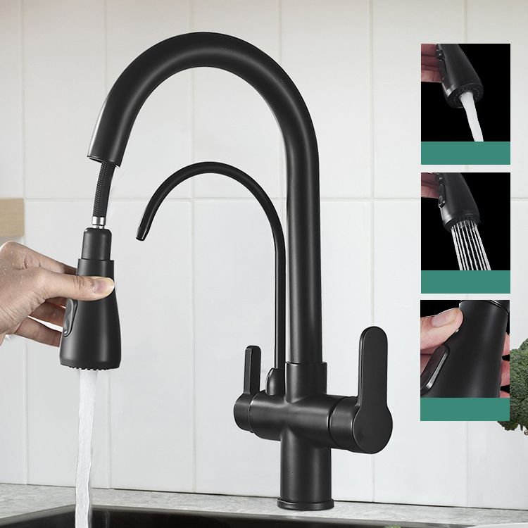 Contemporary Two Handles Kitchen Faucet Double Faucet 1-Hold Faucet