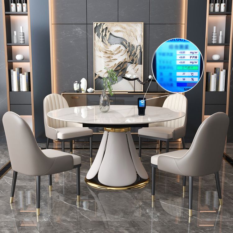 Modern Round Dining Table Sintered Stone Dining Table with Pedestal Base for Home Kitchen Dinner