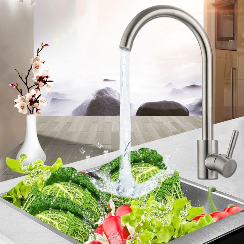 Contemporary Single Handle  Kitchen Faucet 1-Hold  Water Filler