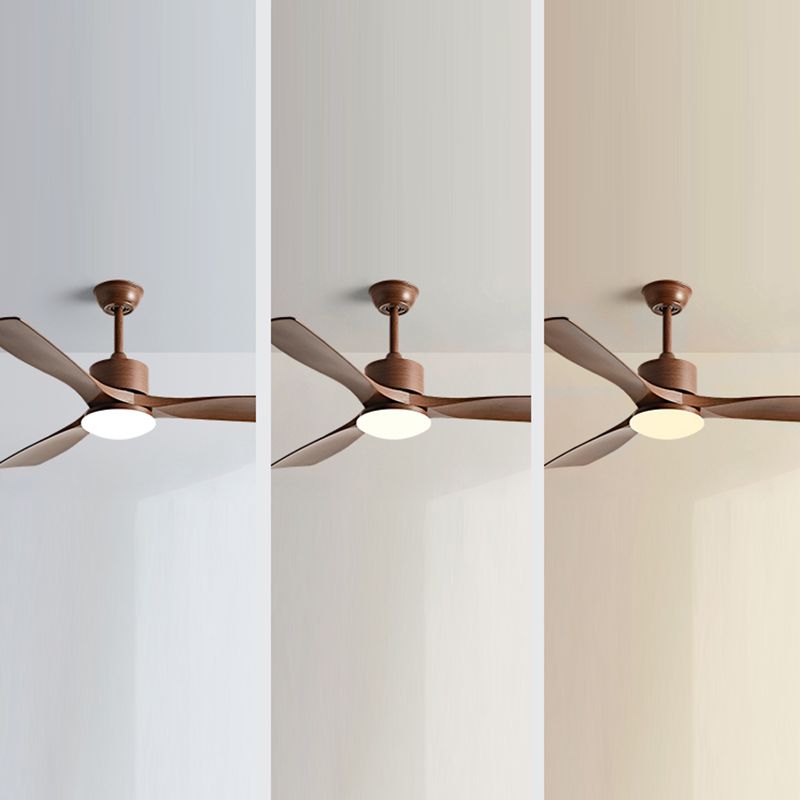 Metal and Plastic LED Ceiling Fan Modern Simple 3 - Blades Fan Lighting