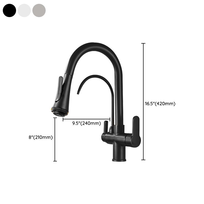 Contemporary Two Handles Kitchen Faucet Double Faucet 1-Hold Faucet