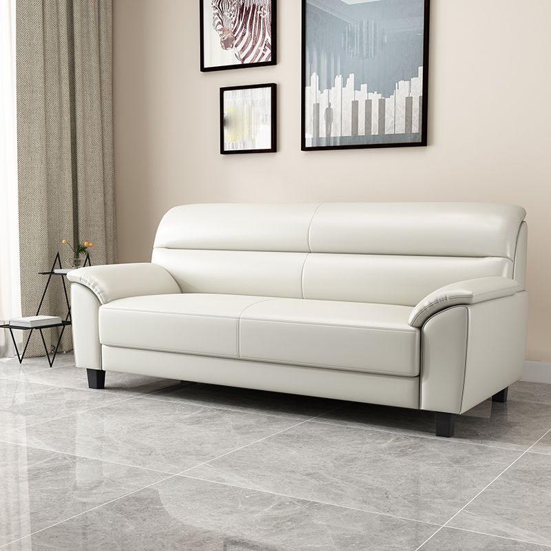 Contemporary Pillow Top Arm Sofa Single Cushion Seat for Living Room