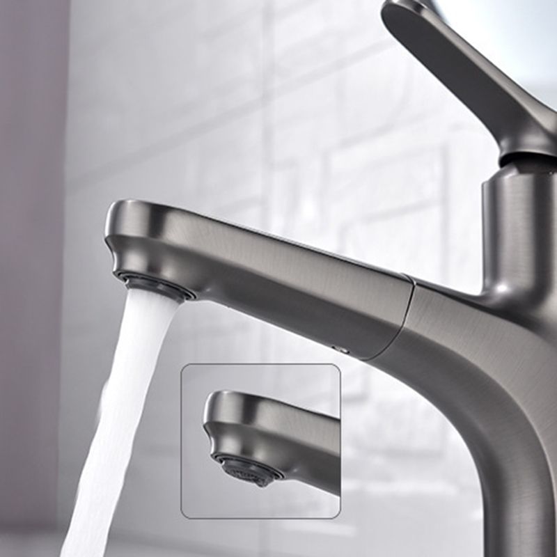 Modern 1-Handle Faucet with Water Dispenser Copper with Pull out Sprayer Faucet