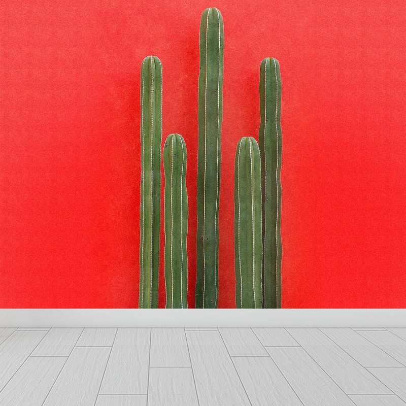 Illustration 3D Illusion Cactus Mural Giant Wall Covering for Dining Room, Custom