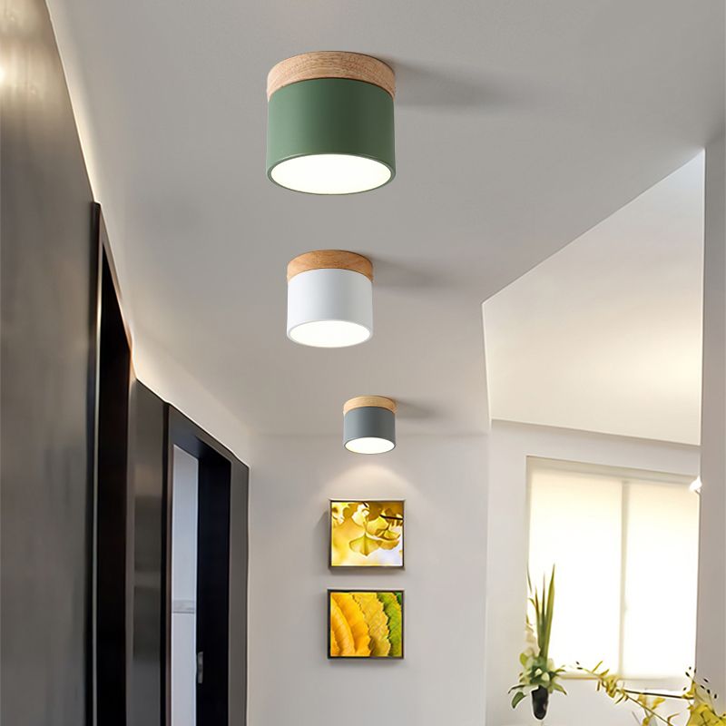 Modern Style Cylindrical Shape Ceiling Lamp Metal 1 Light Ceiling Lighting for Living Room