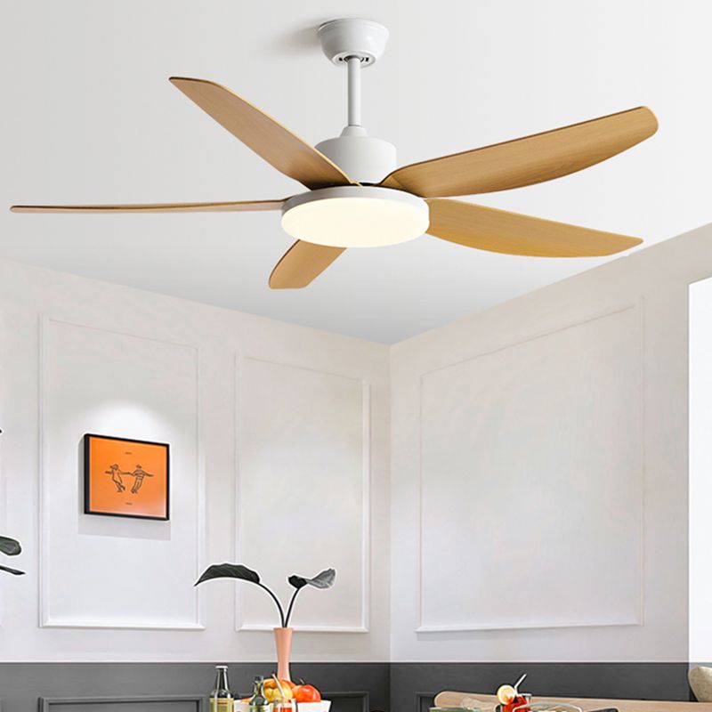 Nordic Ceiling Fan Light Fixture Colorful LED Ceiling Lamp for Bedroom