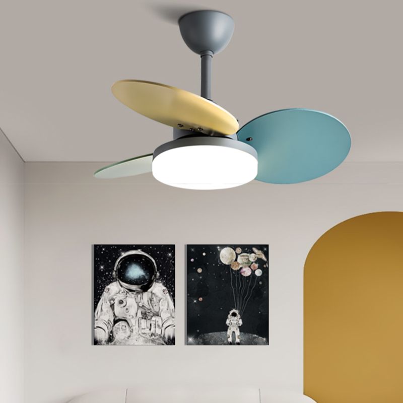 Modern Simple Metal Ceiling Fan Lamp Colorful Blades LED Ceiling Fan Light for Bedroom