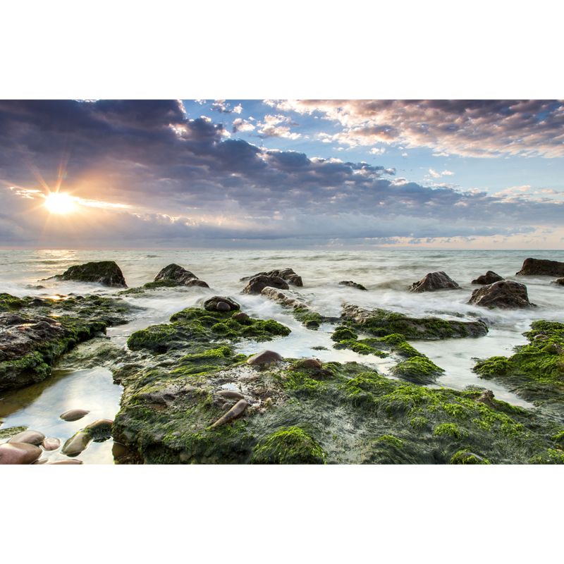 Big Seascapes Wall Paper Mural for Home Evening Sunshine on Moss Stone Wall Decor in Green, Washable