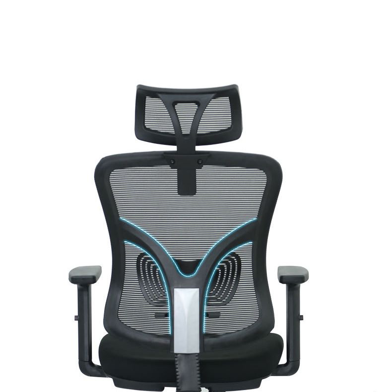 Modern Computer Chair Adjustable Arms Chair Lumbar Support Chair