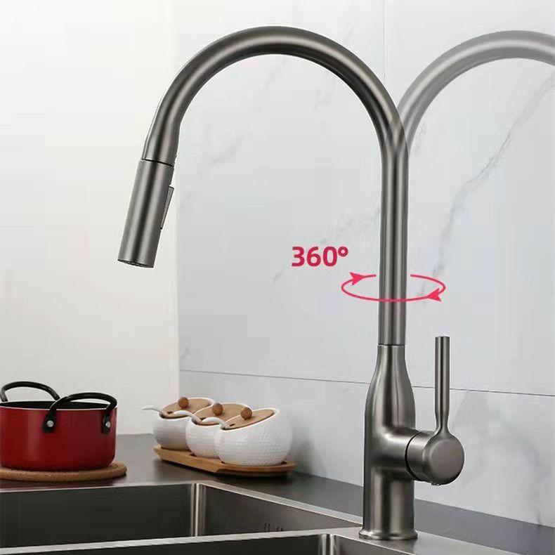 Modern 1-Handle Faucet Pull out Sprayer Standard Kitchen Faucet