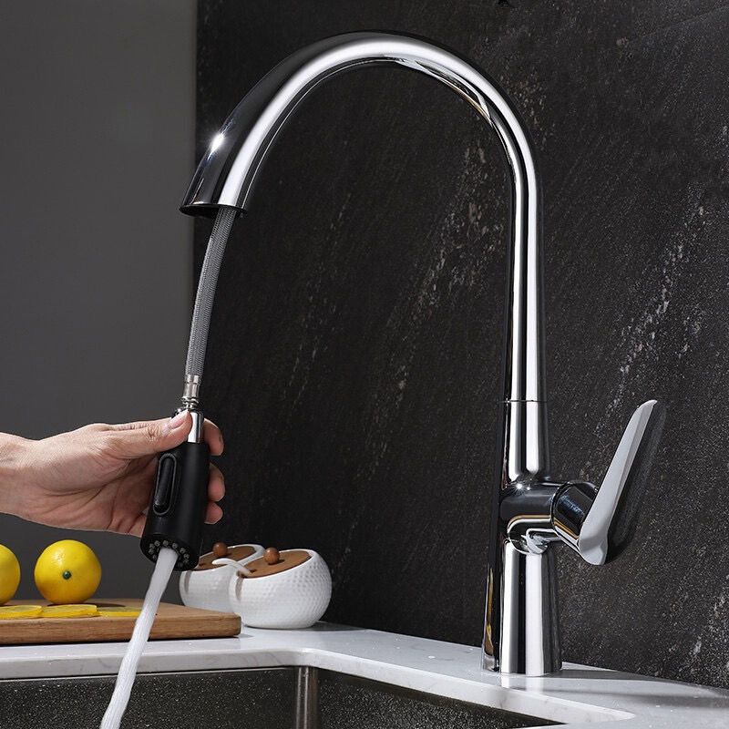 Modern 1-Handle Faucet Pull down Stainless Steel Standard Kitchen Faucet