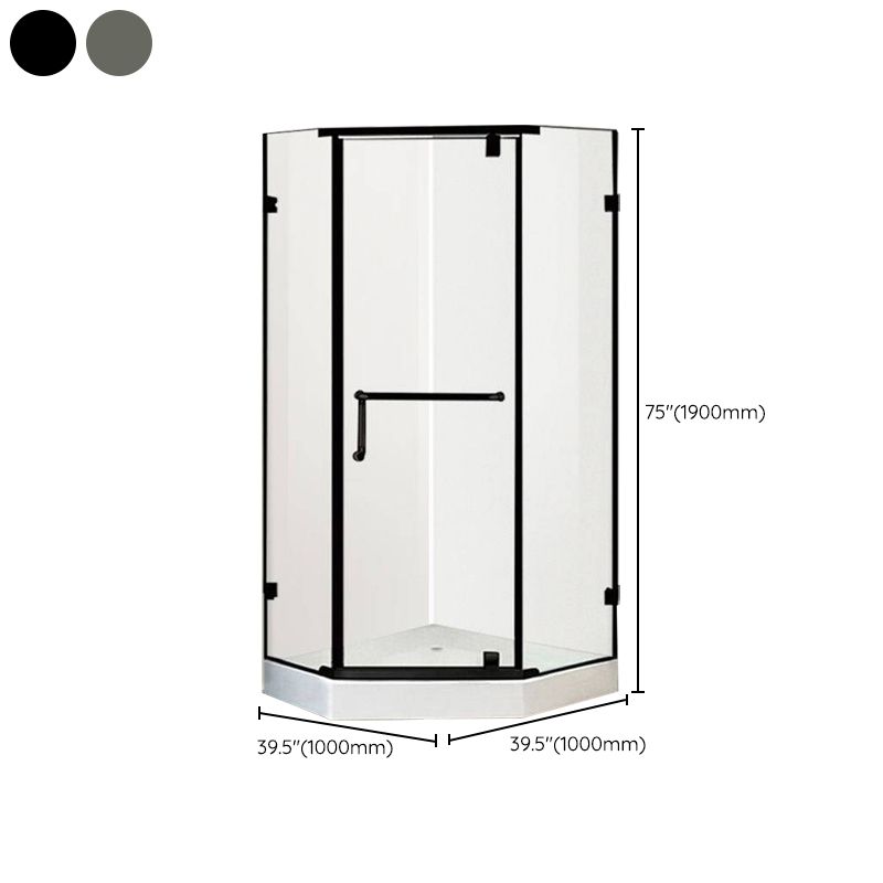 Neo-Angle Clear Shower Enclosure Corner Shower Stall with Header