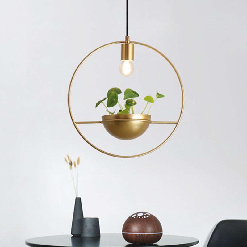 Gold 1 Head Pendant Lamp Industrial Metal Round Hanging Ceiling Light with Plant Decoration