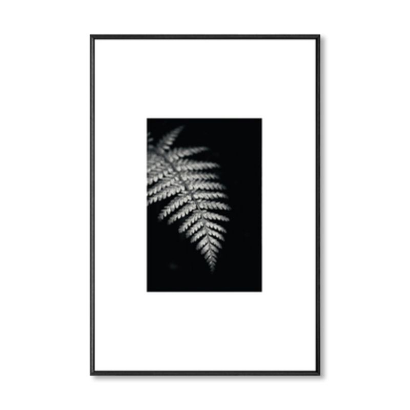 Retro Style Photo Botanics Canvas Dark Color Textured Wall Art Print for Living Room