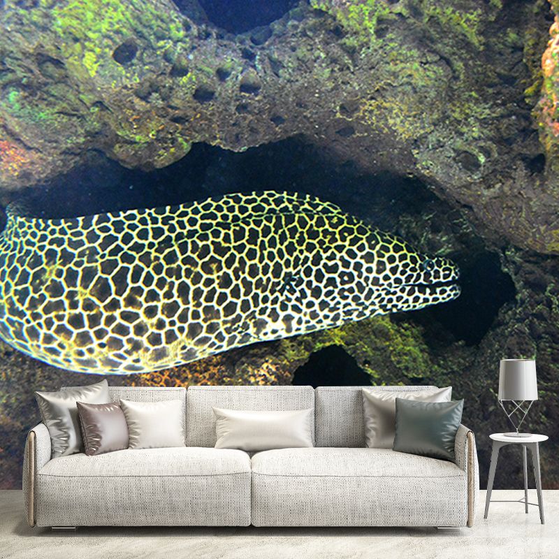 Photography Wall Mural Stain Resistant Environmental Bathroom Fish Wallpaper