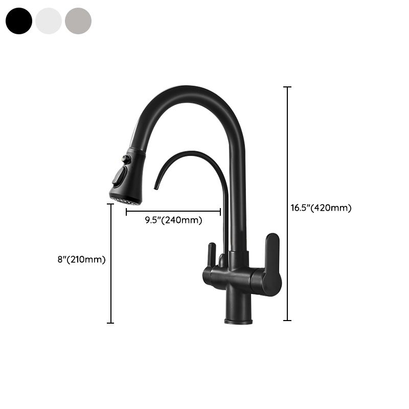 Contemporary Two Handles Kitchen Faucet Double Faucet 1-Hold Faucet