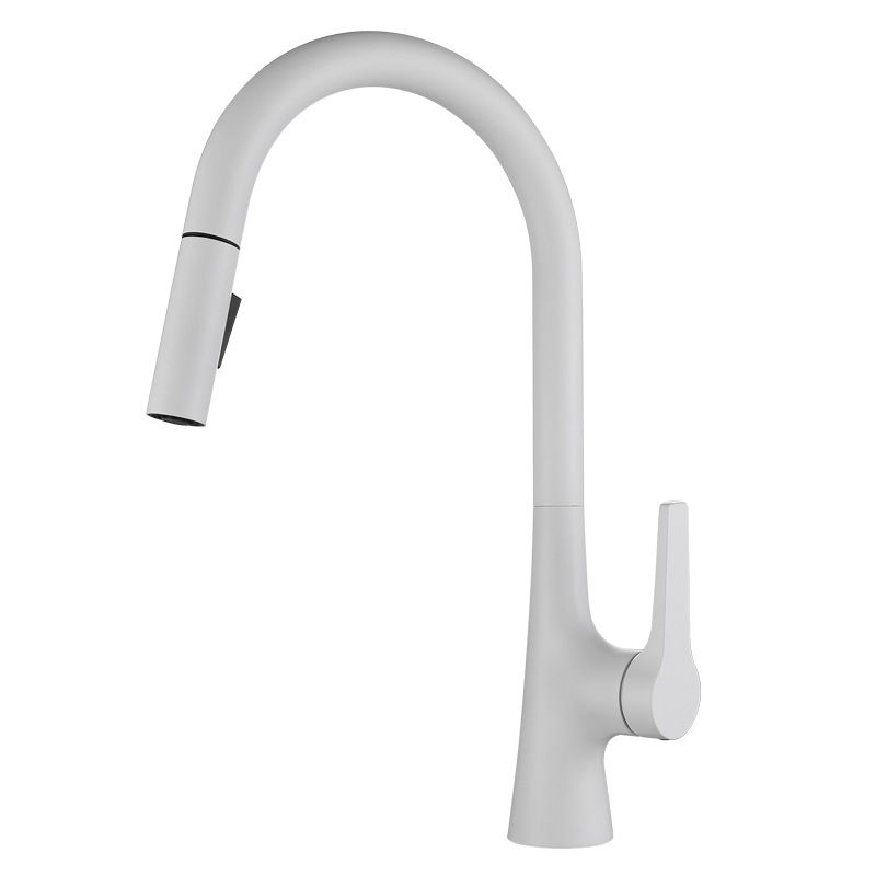 Contemporary Single Handle Kitchen Faucet Water Filler with Pull out Sprayer