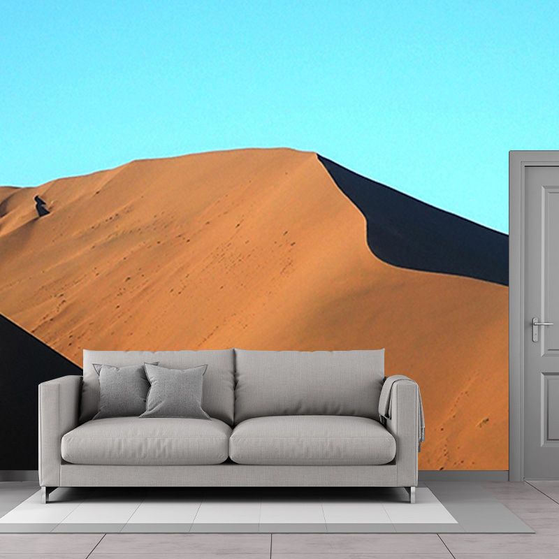 Desert Stain Resistant Photography Wall Mural Living Room Wallpaper