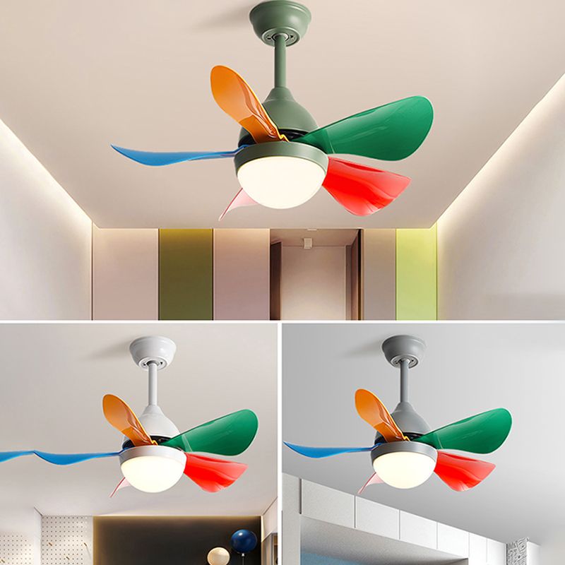 Colorful LED Ceiling Fan Light Modern Metal 1 Light LED Ceiling Fan for Bedroom