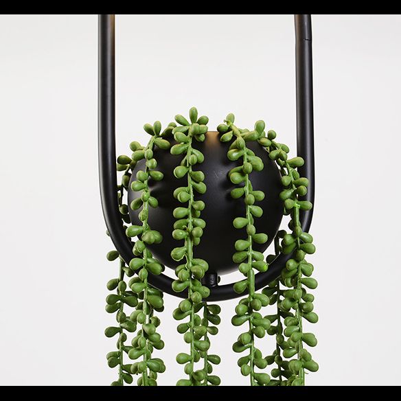 Black 1 clair pendentif sphérique léger nordique rétro rétro ovale métallique ombre lampe suspendue avec plante verte