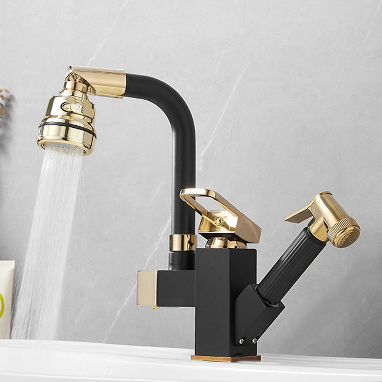 Luxury Vessel Sink Faucet Single Handle Swivel Spout with Side Spray