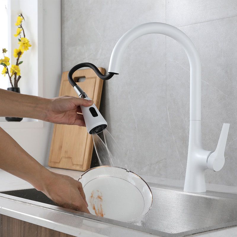 Contemporary Single Handle Kitchen Faucet Water Filler with Pull out Sprayer