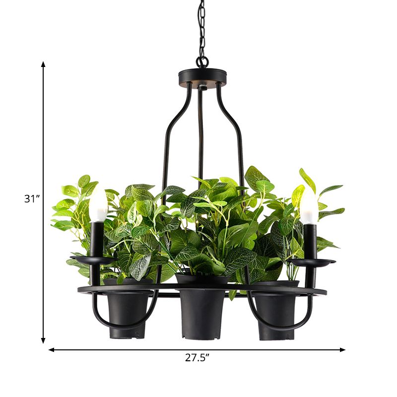 3/6 Bulbs Bonsai Ceiling Chandelier Vintage 1/2-Layer Iron Pendant Light in Black, 19.5"/27.5" Width