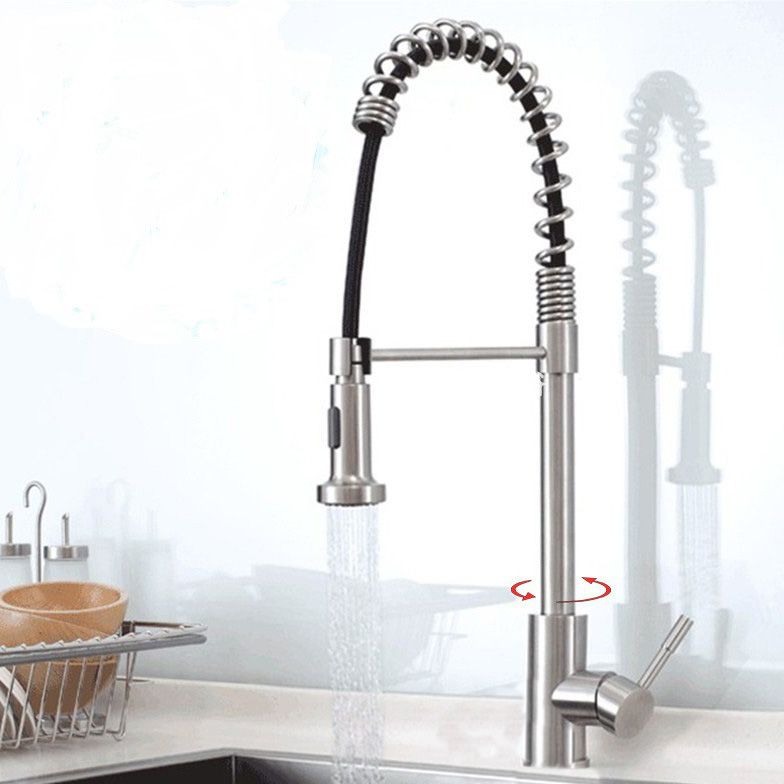 Modern Spring Spout Faucets 1-Handle 1-Hole with Water Dispenser Standard Kitchen Faucets