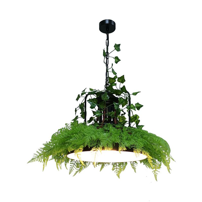 Black Barn Plafond Suspension Lamp Industrial Metal 1 Bulb Restaurant LED Plant Pendant Light, 14 "/18" /21,5 "W