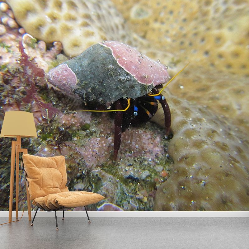 Environmental Sea Animal Wallpaper Mildew Resistant Photography Bathroom Wall Mural
