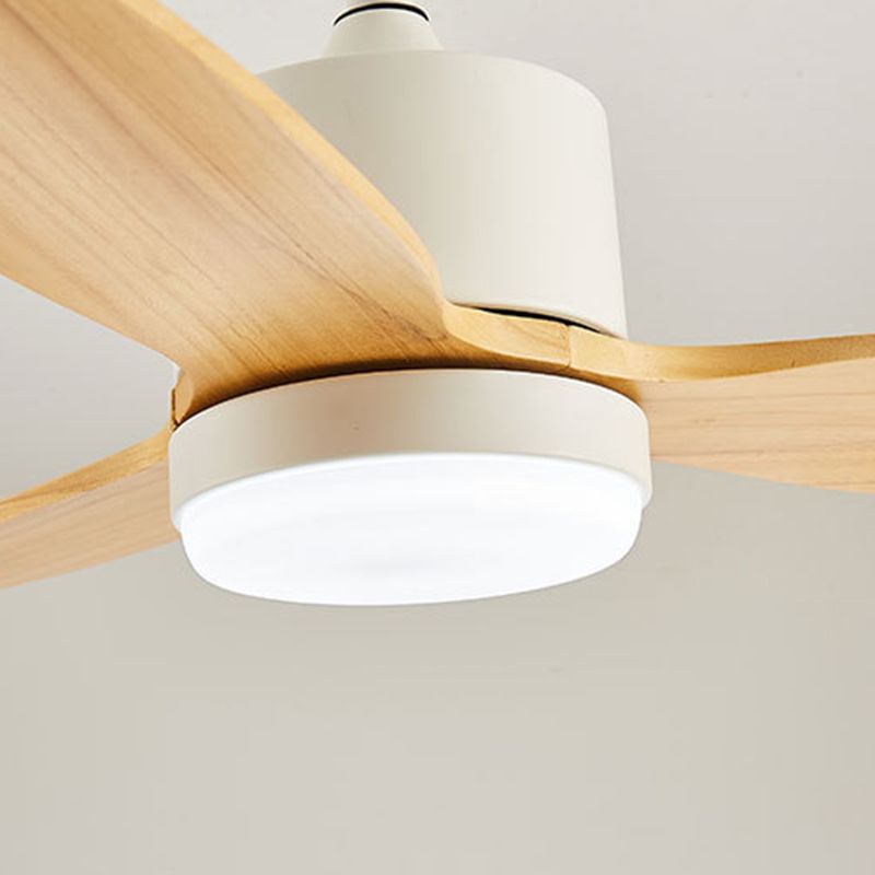 Modern Ceiling Fan Light Fixture Household LED Ceiling Lamp for Bedroom