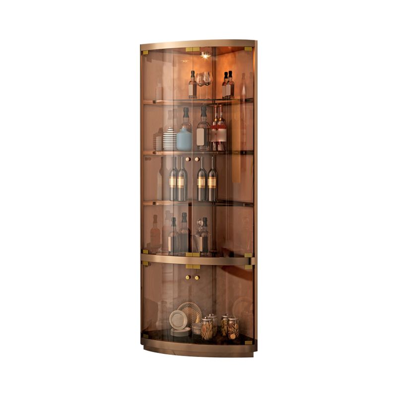 Contemporary Glass Doors Curio Cabinet Metal Storage Cabinet with Lighting