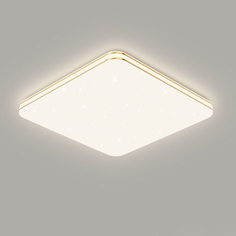 Single Golden Flush Mount Lighting LED Ceiling Light for Living Room