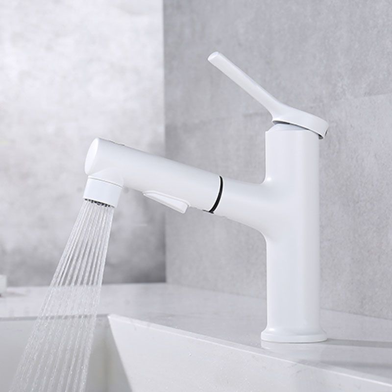 Contemporary Single Handle Faucet Pull-out Sink Faucet with Lever Handle