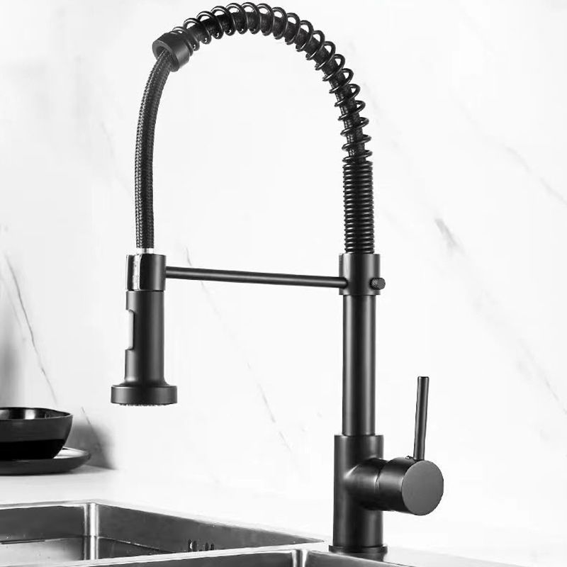 Modern Farmhouse Spring Spout Water Filler One Handle High Arch Kitchen Standard Faucet