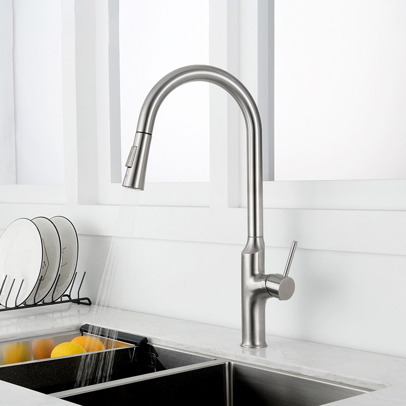 Contemporary Single Lever Kitchen Faucet 1-Hold Water Faucet with Pull out Sprayer