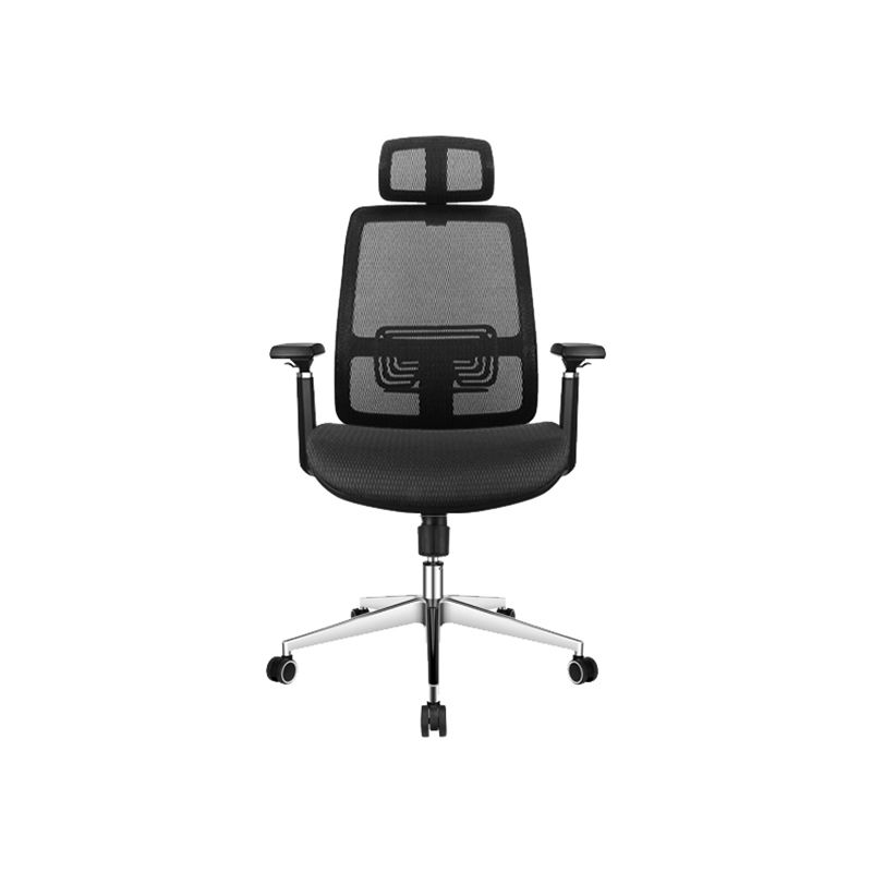 Adjustable Arms Executive Chair Tilt Mechanism Adjustable Seat Height Chair