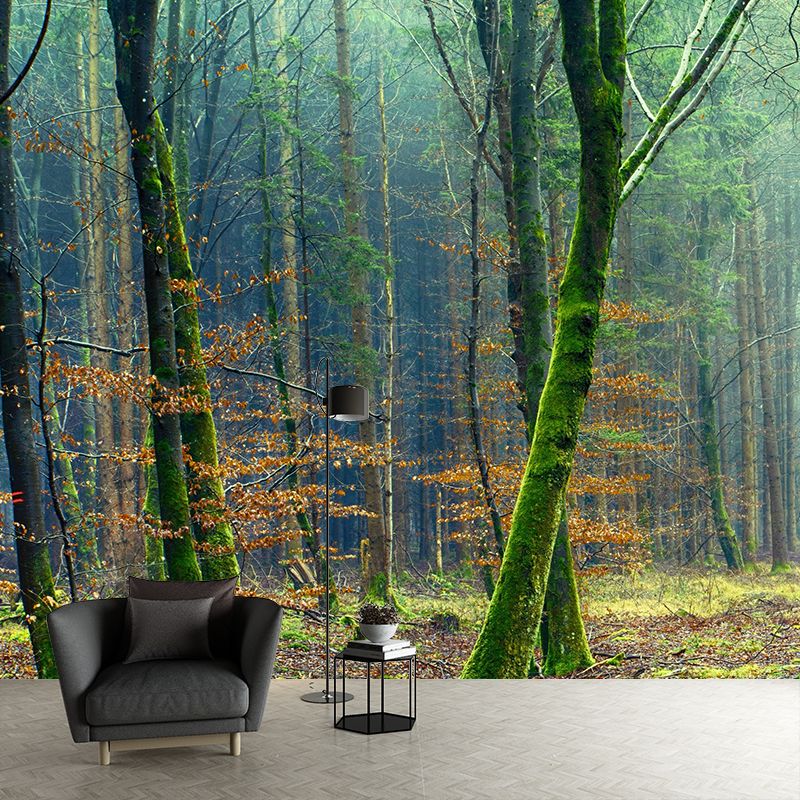 Home Environmental Wallpaper Forest Living Room Resistant Photography Wall Mural