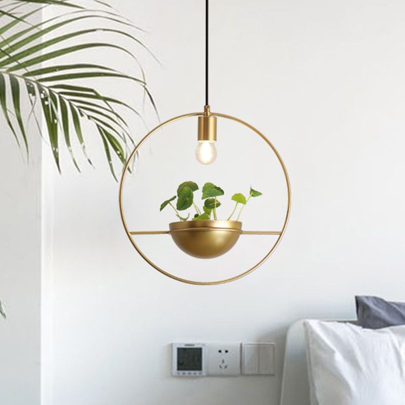 Gold 1 Head Pendant Lamp Industrial Metal Round Hanging Ceiling Light with Plant Decoration