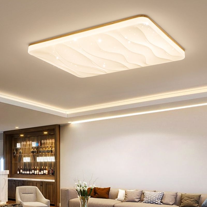 Unique Shape Flush Ceiling Lights Modern Acrylic Flush Mount Lighting