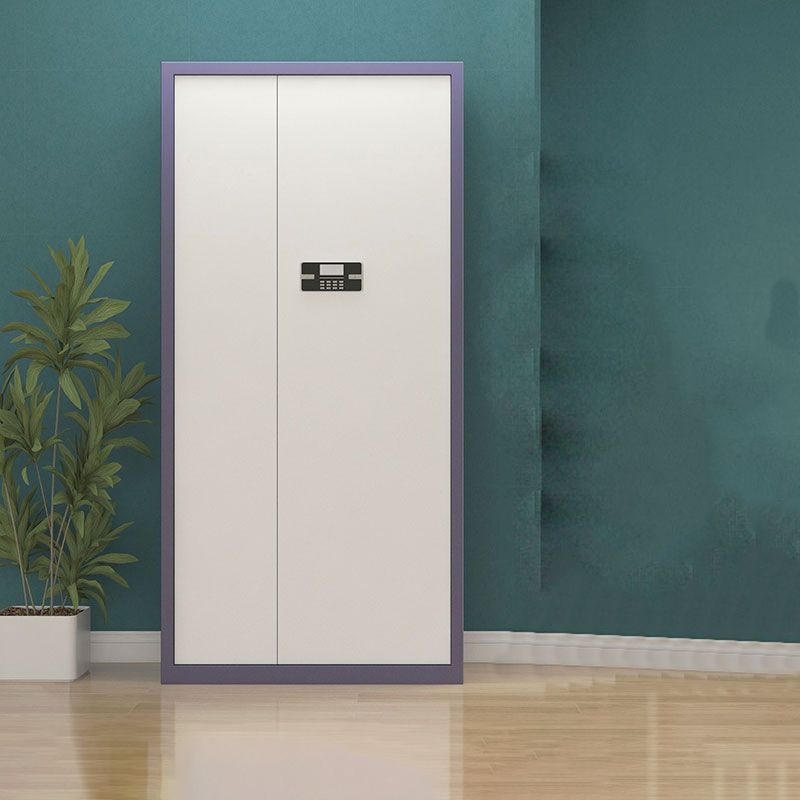 Contemporary File Cabinets Metal Frame Vertical File Cabinet with Lock