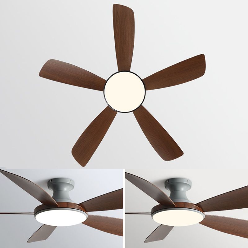 Modern LED Ceiling Fan 5 - Blades Metal and Acrylic Fan Lighting Fixture