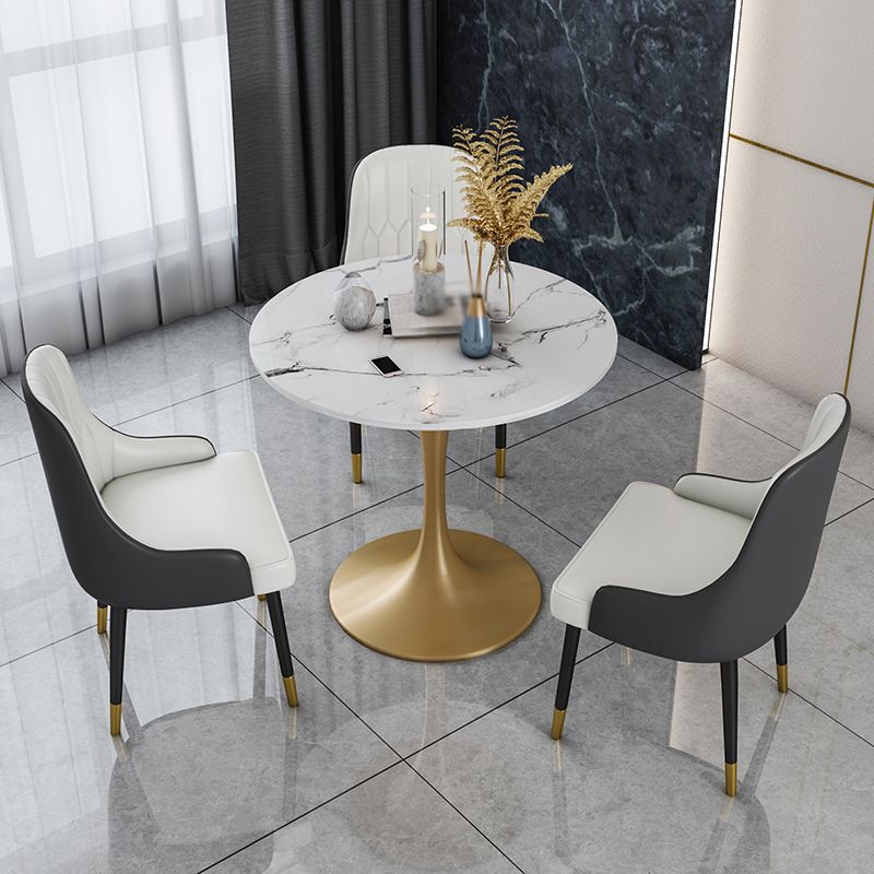 Glam 1/2/4/5 Pieces Iron Dinette Set with Sintered Stone Top Round Dining Table Set